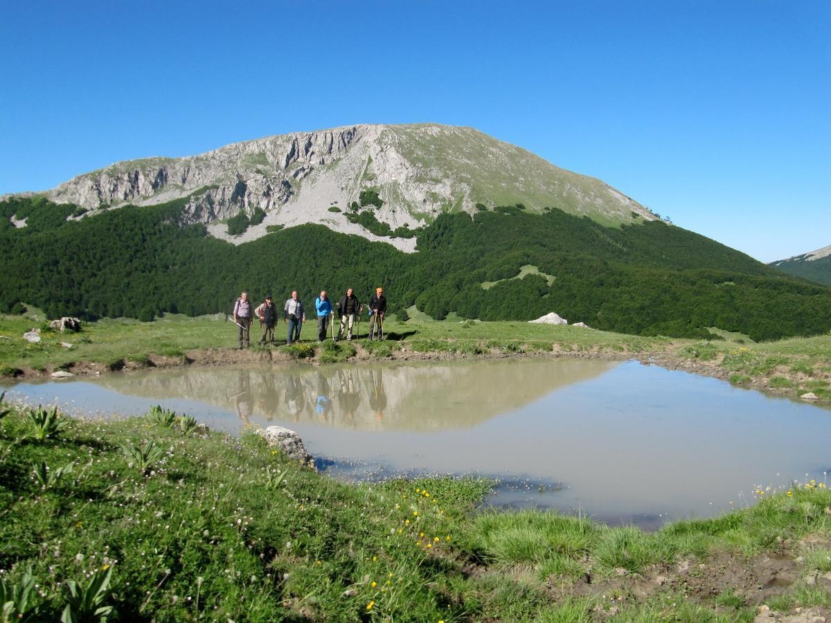 B&B Sole Del Pollino Rotonda Bagian luar foto