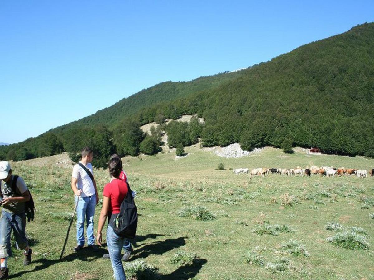 B&B Sole Del Pollino Rotonda Bagian luar foto